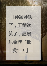 孙颖莎哭了，王楚钦笑了，潘展乐金牌“批发”！